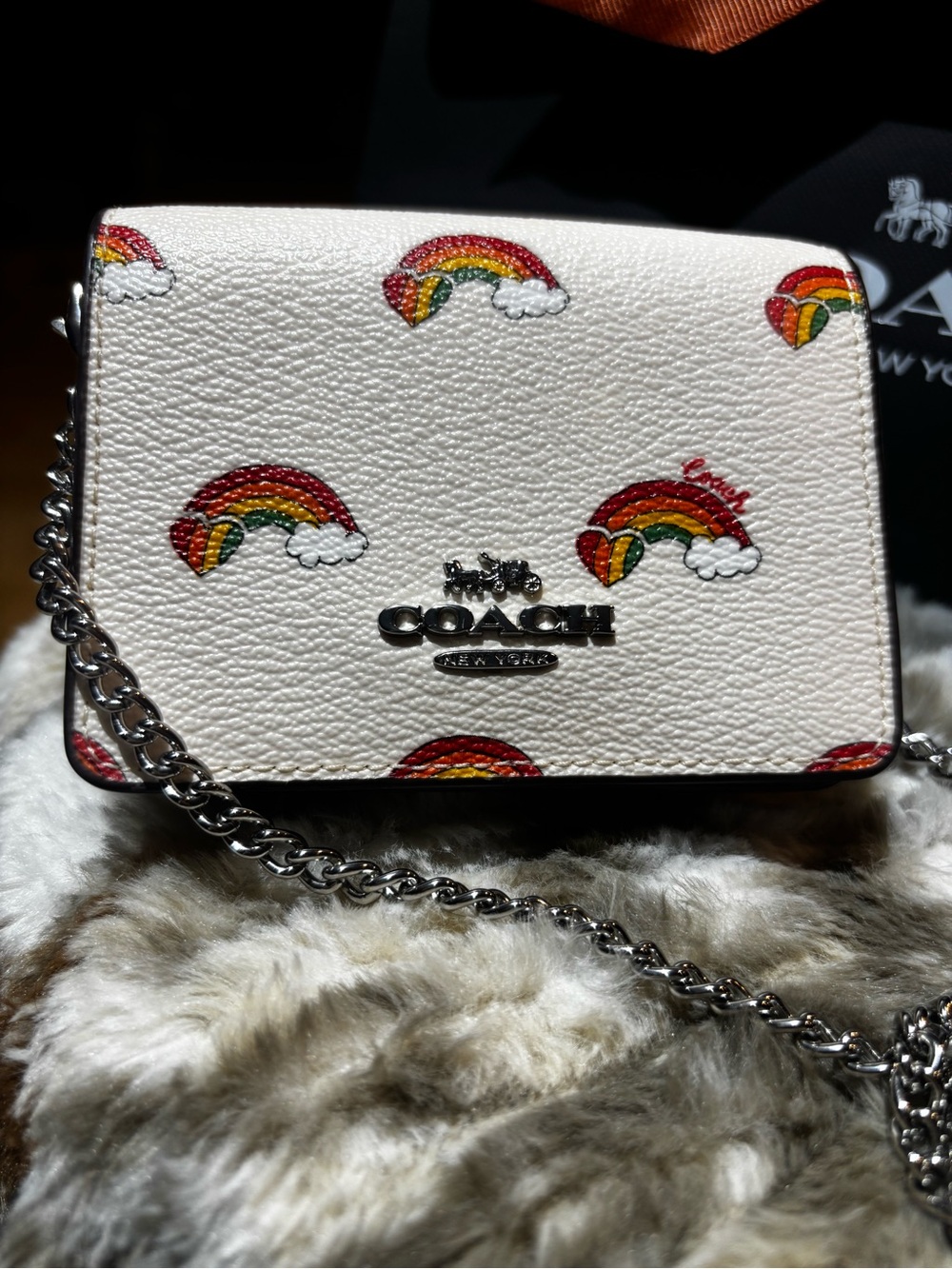 🌈Coach Rainbow Print Mini Wallet Chain Crossbody